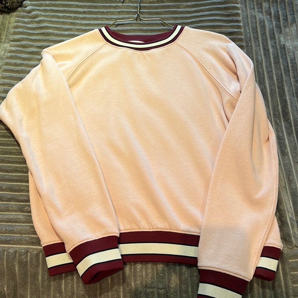 Little Moon pink sweatshirt - from aritzia